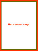 audio book